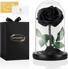 Forever Real Rose in a Glass