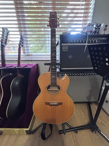 Washburn ea26 craig - washburn, chaquico