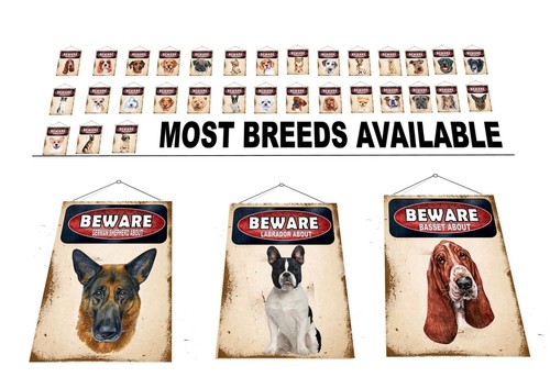 Beware the dog - of,