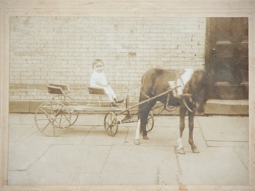 Vtg 1900s photo pony tandem - 1900s,
