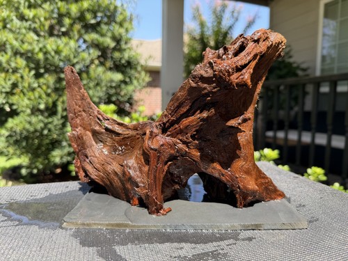 Driftwood malaysian aquariums - driftwood,