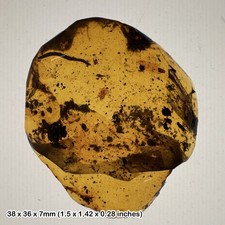 Burmese Cretaceous Amber with