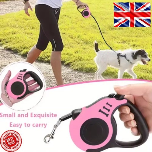 Retractable dog lead - dog,