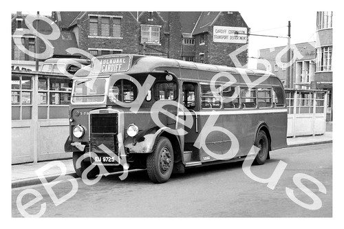 Bus photograph red white - photograph, &