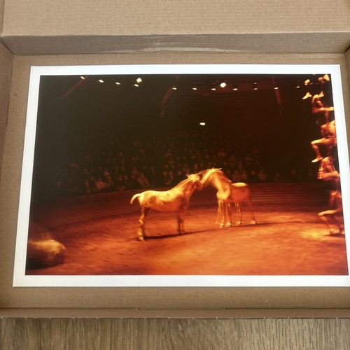 Nan goldin horse circus - nan,