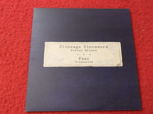 Steven wilson stoneage - wilson,