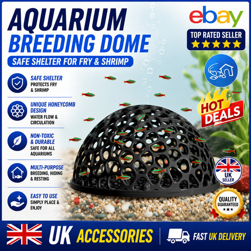 Shrimp breeding cave fish tank - shrimp,