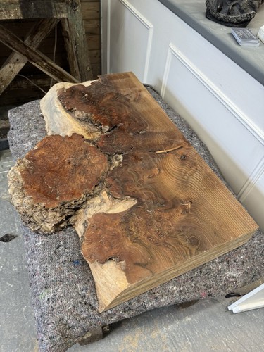Burr elm wood turning - , burl