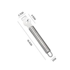 Stainless Steel Lemon Zester