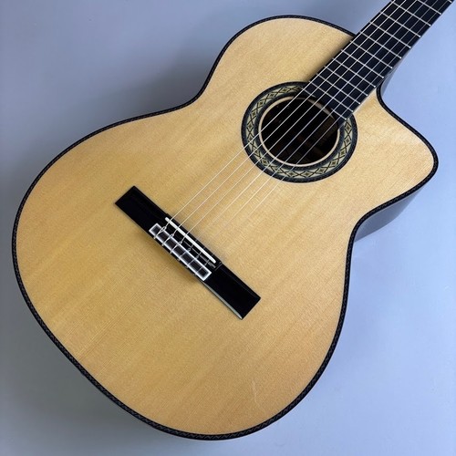 Takamine dmp370nc nylon - takamine,