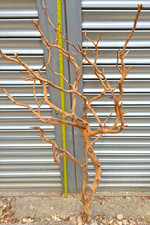 Large Manzanita Driftwood - Ultra Multi Stem Size 1.25 Metres High and 60cm Wide