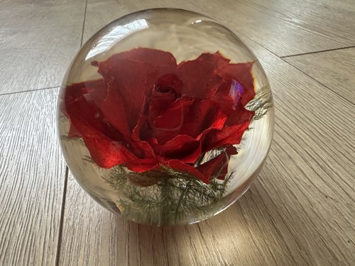 Hafod grange 1998 red rose - hafod,