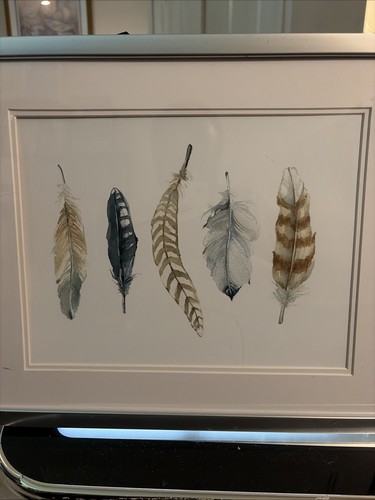Framed feather watercolor - feather,