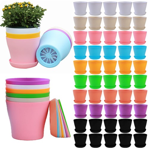 Pack inch plant pots - 50,