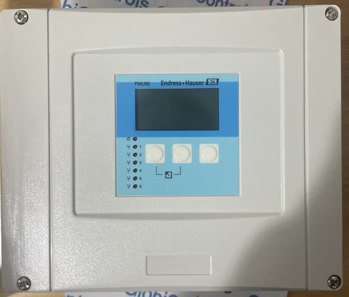 Endress hauser - +,