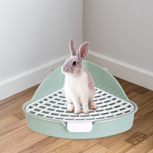 Medium bunny toilet - medium,