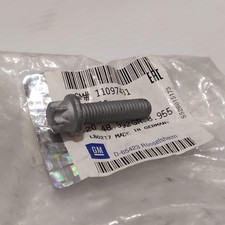 Genuine Vauxhall Screw | 11097431