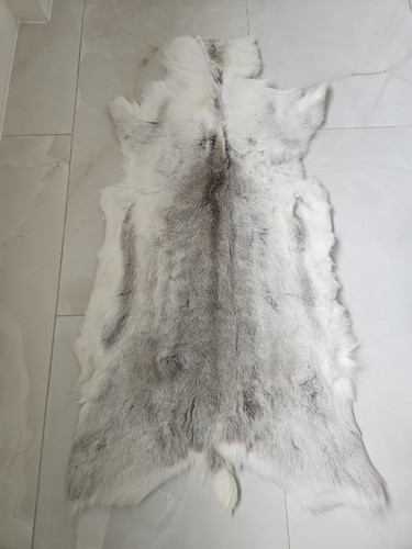 Norwegian reindeer skin fur - skin,