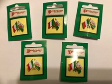 5 Wales / Italy Enamel Pin