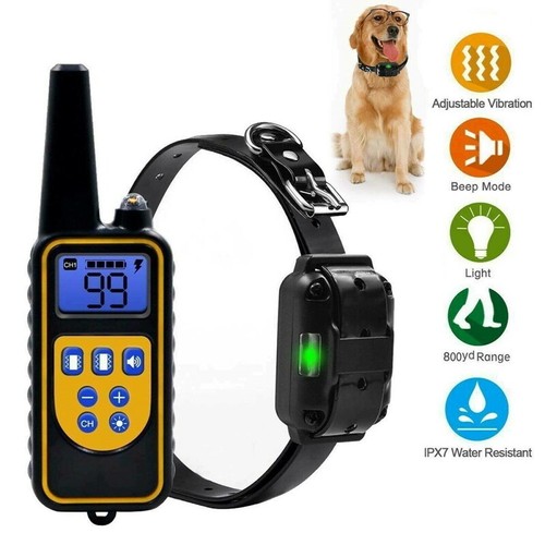 Remote dog training collar - dog,