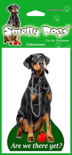 Dobermann dog x smelly - -,