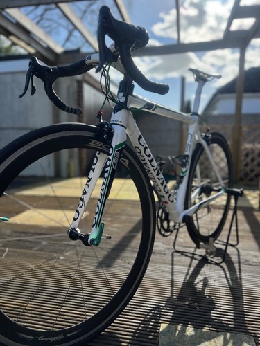 Colnago c59 team - colnago, edition
