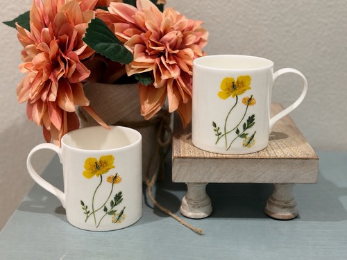 Sophia davenport welsh poppy - sophia,