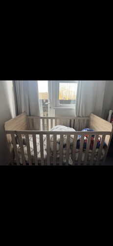 Wayfair cot bed the - bed,