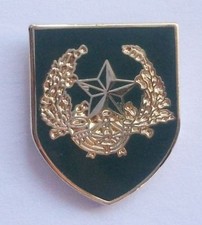 CAMERONIANS LAPEL PIN OR