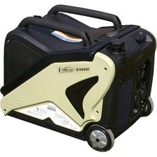 Villiers R3000i  3.1kw