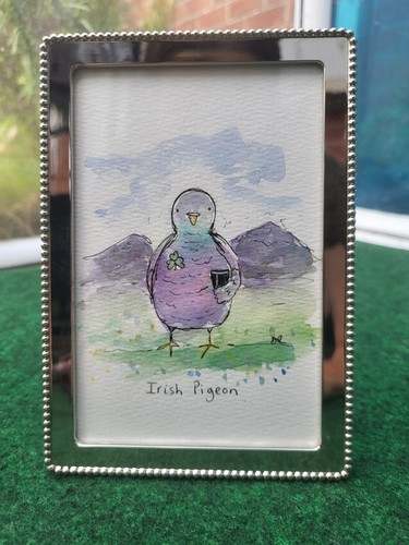 Irish pigeon fun original