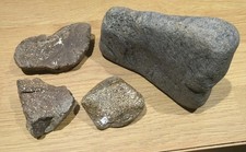 Dinosaur Bone Fossil Wealden Beds Isle Of Wight Cretaceous 