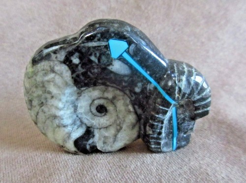 Zuni fossilized orthoceras - ,