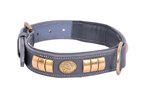 Staffy leather dog collar - staffy,