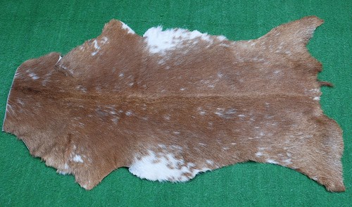 Luxury goat hide rug - goat,