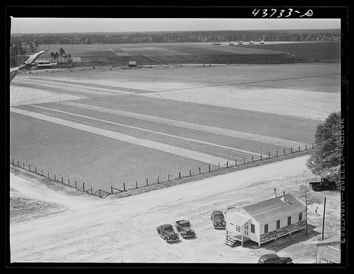 Hazlehurst georgia 1941 - hazlehurst,