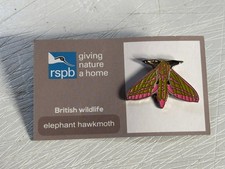 RSPB ELEPHANT HAWK MOTH Grey