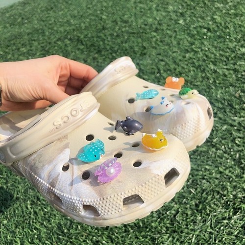 Sea creatures transparent - creatures, shoe