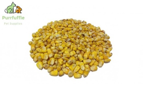 25kg particle bait whole maize - 25kg,