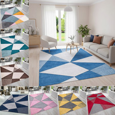 Luxury Large Area Rugs Living