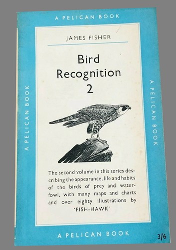 Bird recognition james - bird,