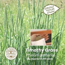 Grow Your Own Timothy Grass 50g Pack of Seeds - Pet Food for Rabbits Guinea Pigs