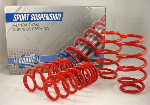 Cobrasport lowering springs - cobrasport,