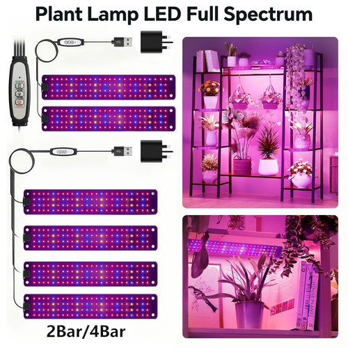 Led plants grow - led, light