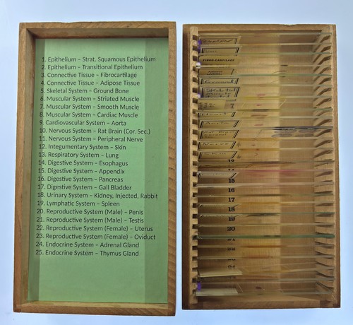 Mammal histology microscope - histology,
