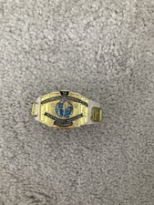 Mattel WWE Elite Championship