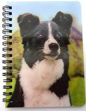 Border Collie in amazing 3D on