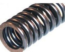 Valve Spring Genuine Leader