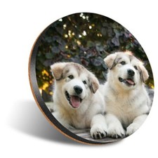 1 x Round 12cm Coaster -