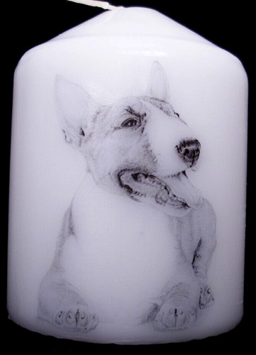 Candle picture english bull - candle,